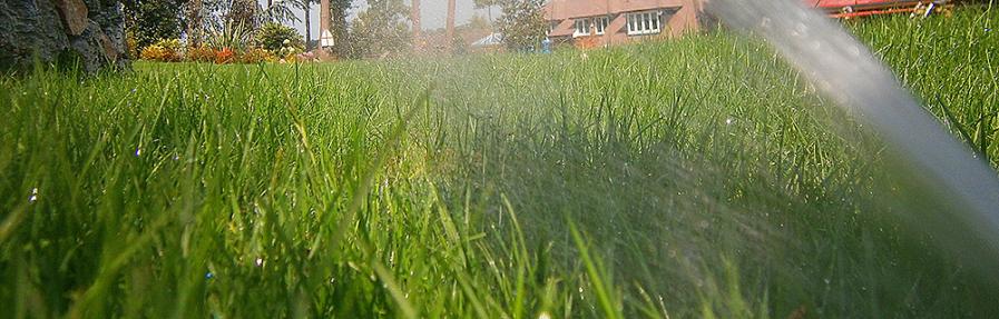 a recently done sprinkler repair in Rockwall, Texas