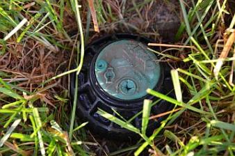 a serviced Orbit sprinkler head